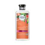 Herbal Essences Bio Renew Grapefruit and Mint Shampoo