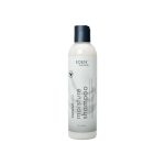 EDEN BodyWorks Coconut Shea Moisture Shampoo 235ml